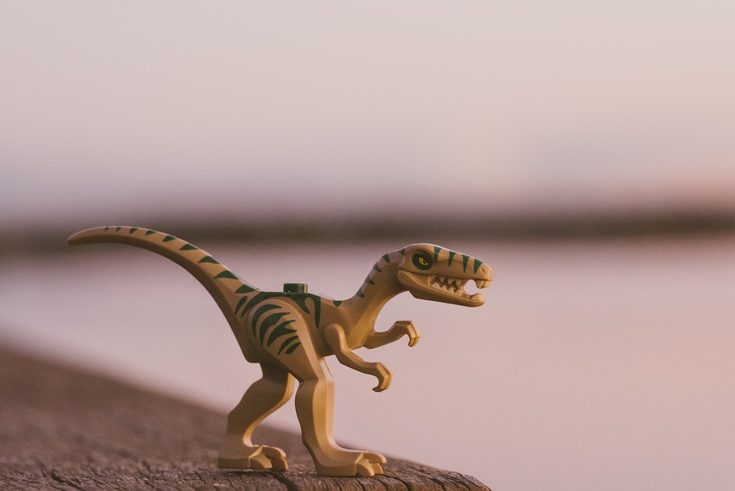 How SSArk Enhances Your Ark Experience